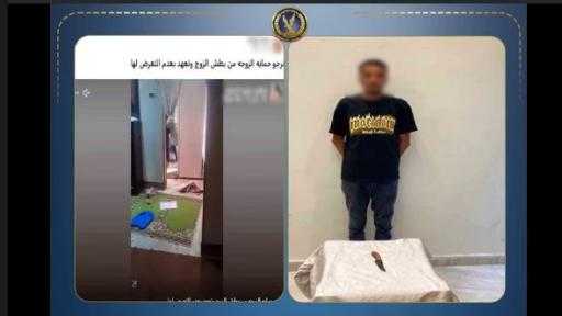 أخبار مصر