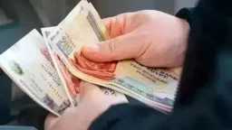 أخبار مصر