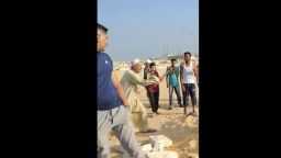 أخبار مصر