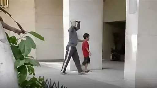 أخبار مصر