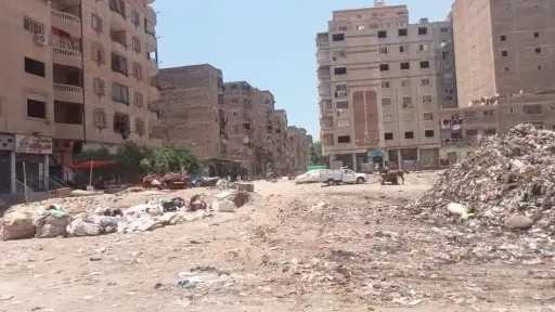 أخبار مصر
