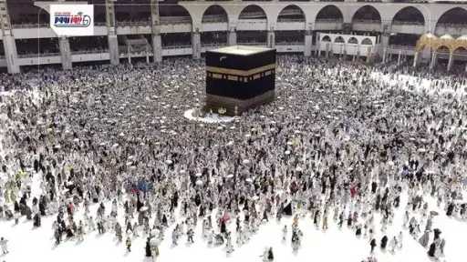 أخبار مصر
