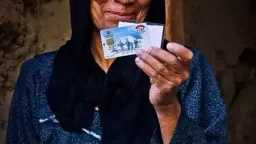 أخبار مصر