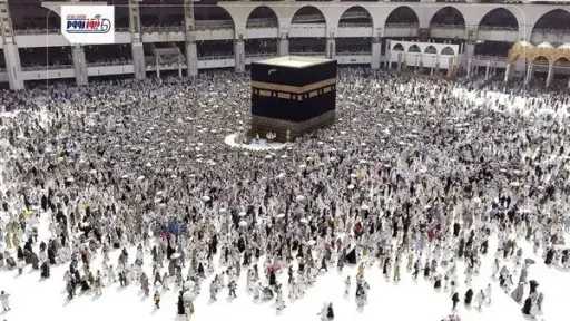 أخبار مصر