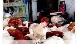 اقتصاد