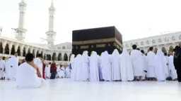 أخبار مصر
