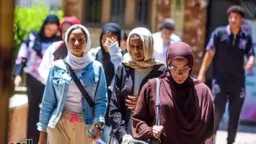 أخبار مصر
