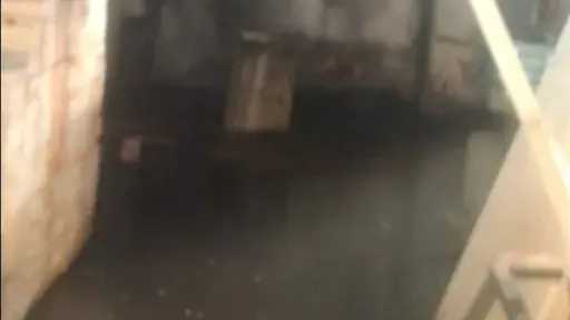 أخبار مصر