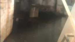أخبار مصر