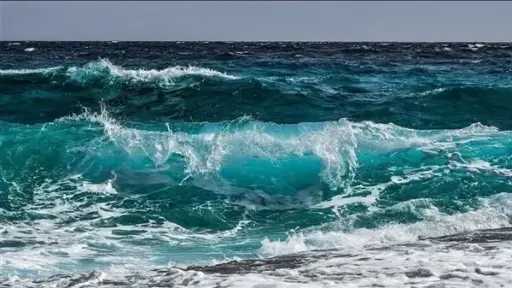 أخبار مصر