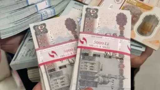 أخبار مصر
