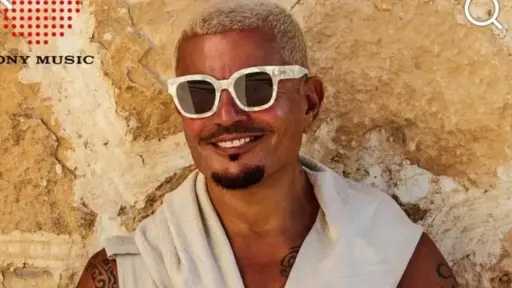 فن