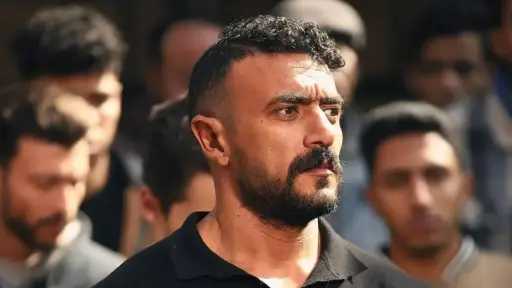 فن
