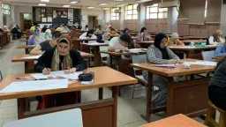 أخبار مصر