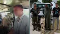 أخبار مصر