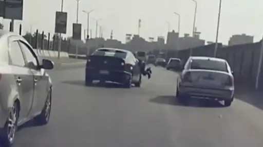 أخبار مصر