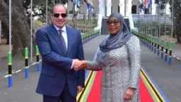 أخبار مصر