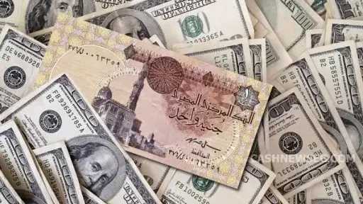 تريندات