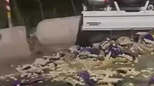 أخبار مصر