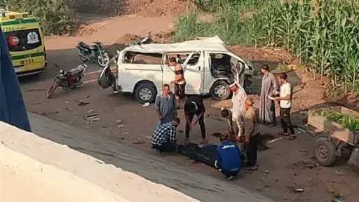 أخبار مصر