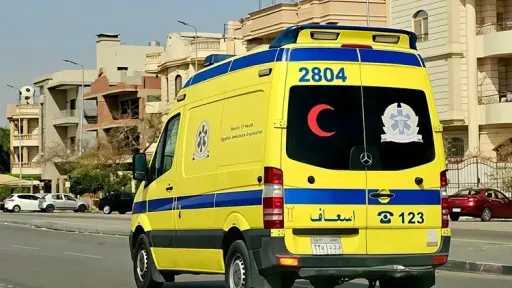 أخبار مصر