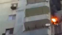 أخبار مصر