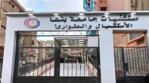 أخبار مصر