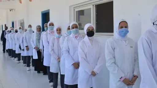 أخبار مصر