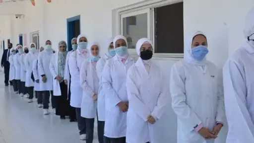 أخبار مصر