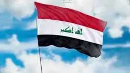 أخبار مصر