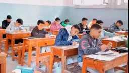 أخبار مصر