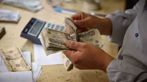أخبار مصر