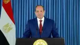 أخبار مصر