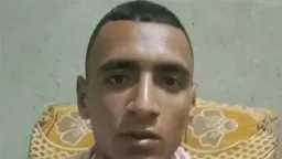 أخبار مصر