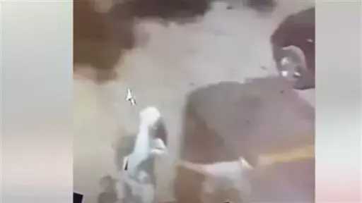 أخبار مصر