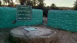 عربي ودولي