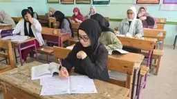 أخبار مصر