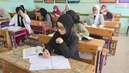 أخبار مصر
