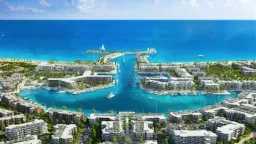 أخبار مصر