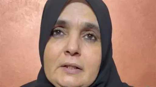 أخبار مصر