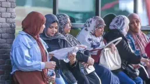 أخبار مصر