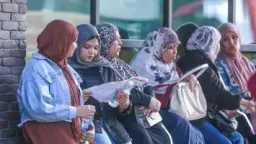 أخبار مصر