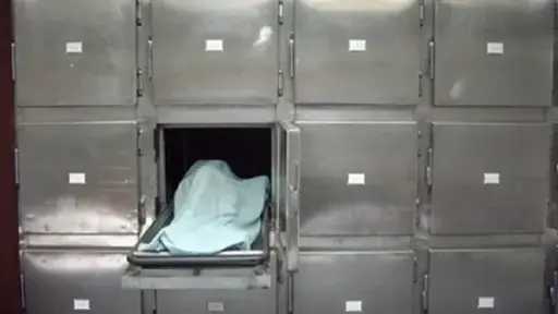 أخبار مصر