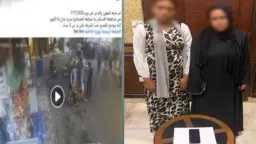 أخبار مصر