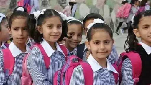 أخبار مصر