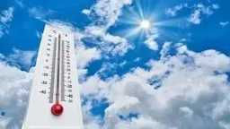 أخبار مصر