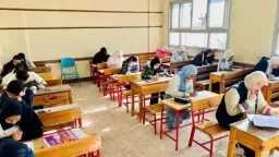 أخبار مصر