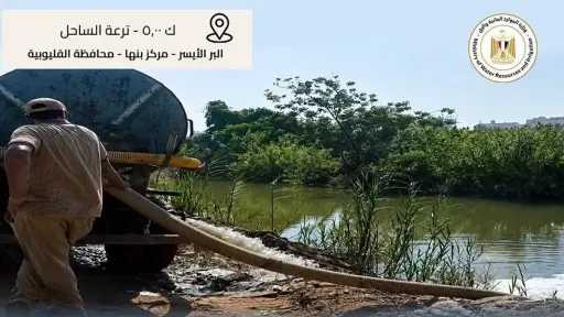 أخبار مصر