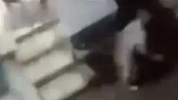 أخبار مصر