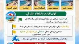 أخبار مصر
